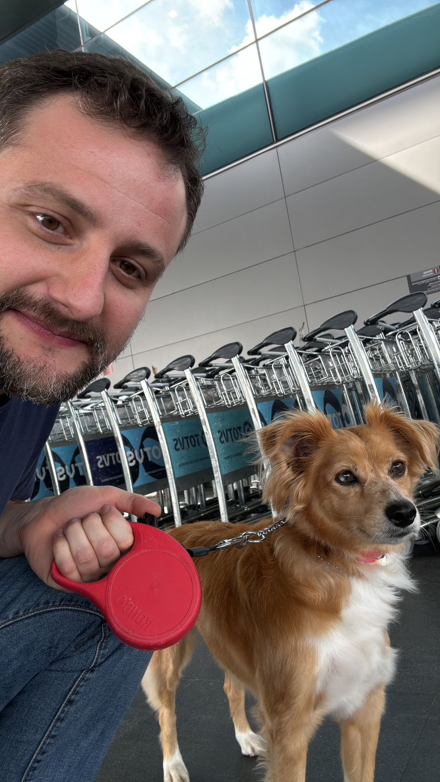 No embarque do aeroporto, cachorro ainda na guia